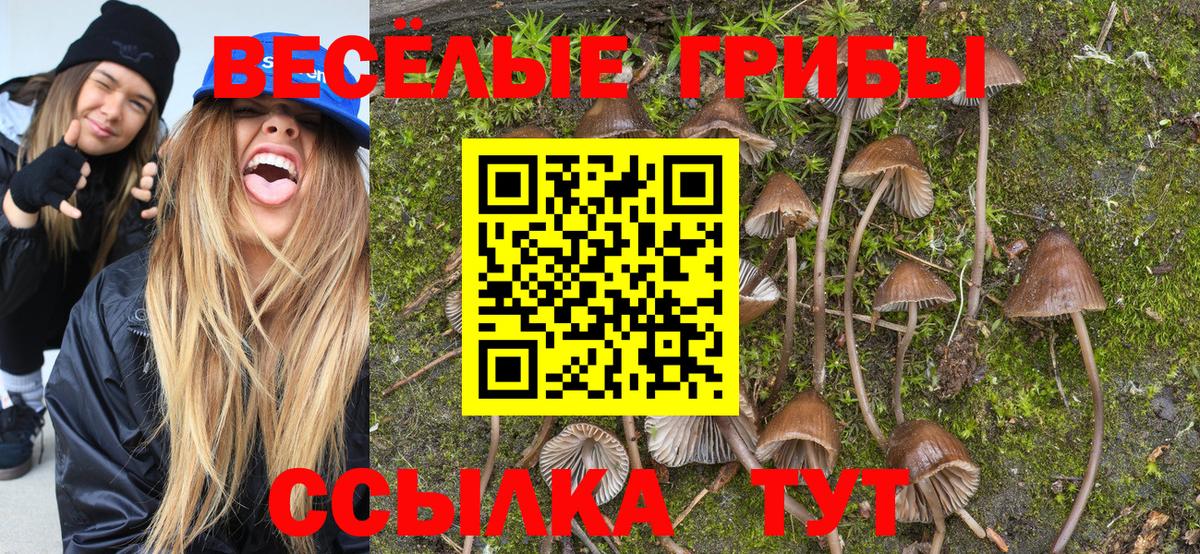 Тула  Галлюциногенные грибы GOLDEN TEACHER  цена   Вход с VPN 